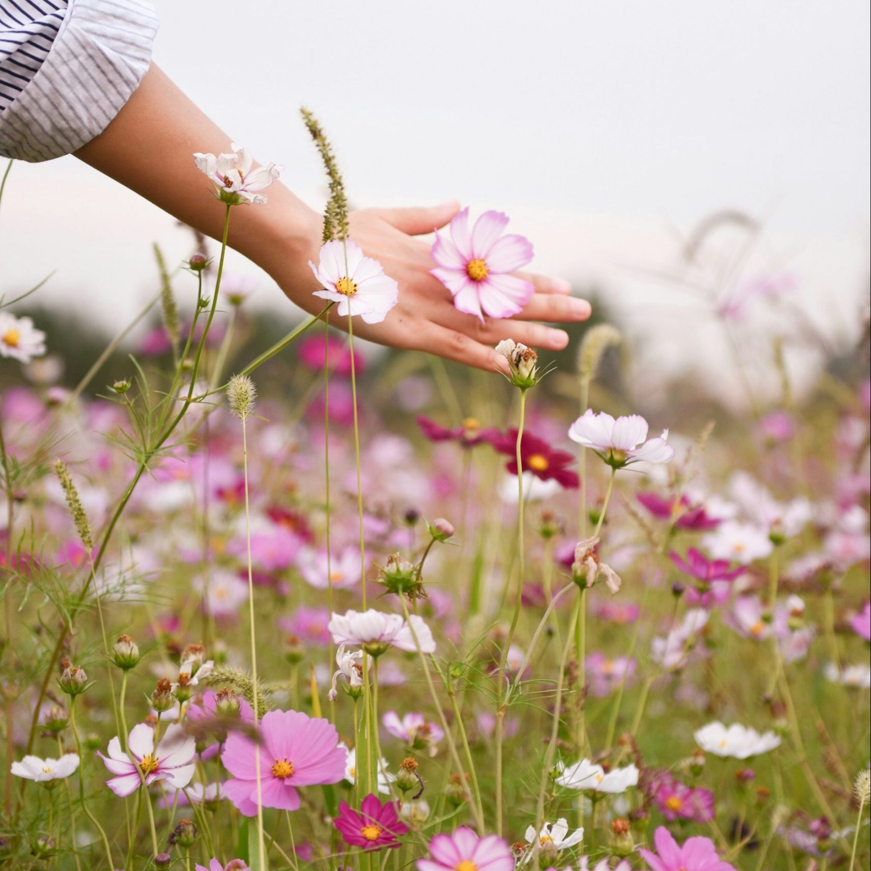 suhyeon choi z ojMgg99nA unsplash scaled e1717101297699