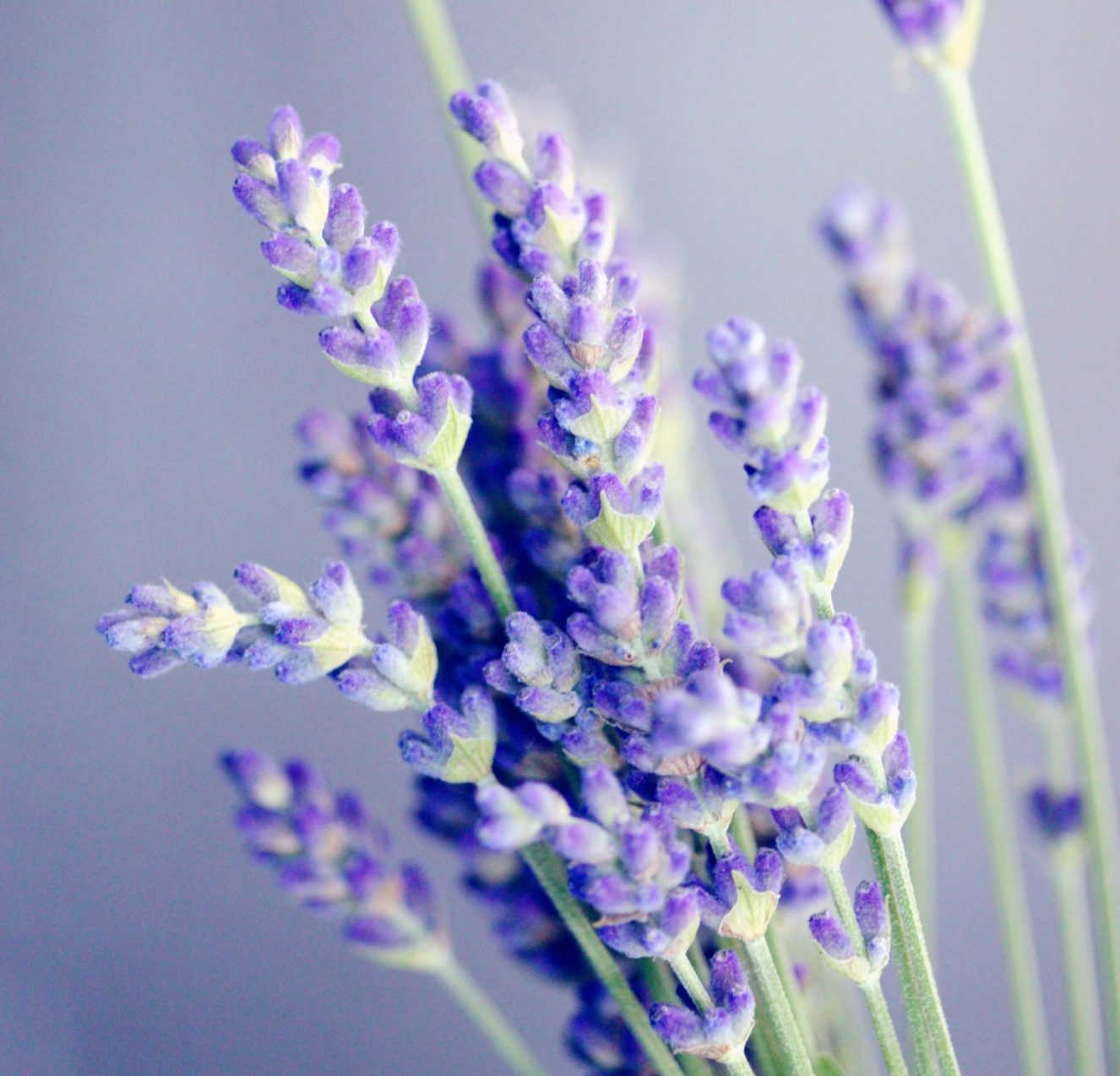 alexander grey SavQfLRm4Do unsplash scaled e1726599907690