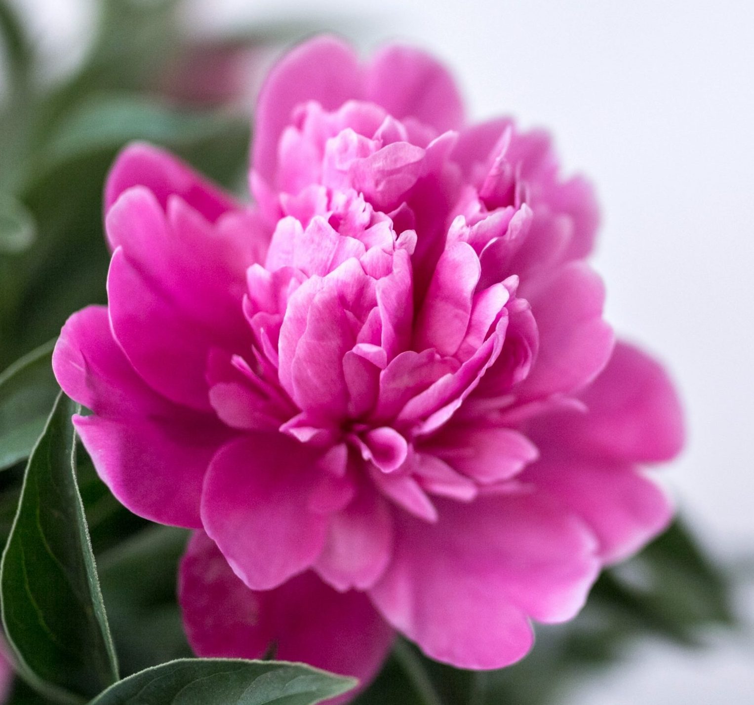 eniko kis citwN1D61WM unsplash scaled e1726600447868