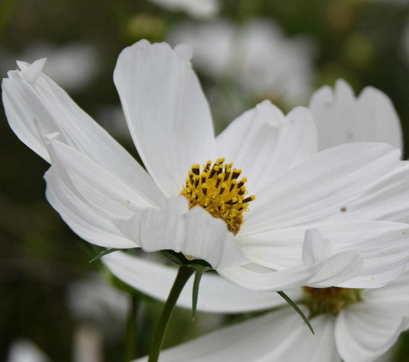 katie burnett 0VL6wHwif9A unsplash scaled e1726600113393