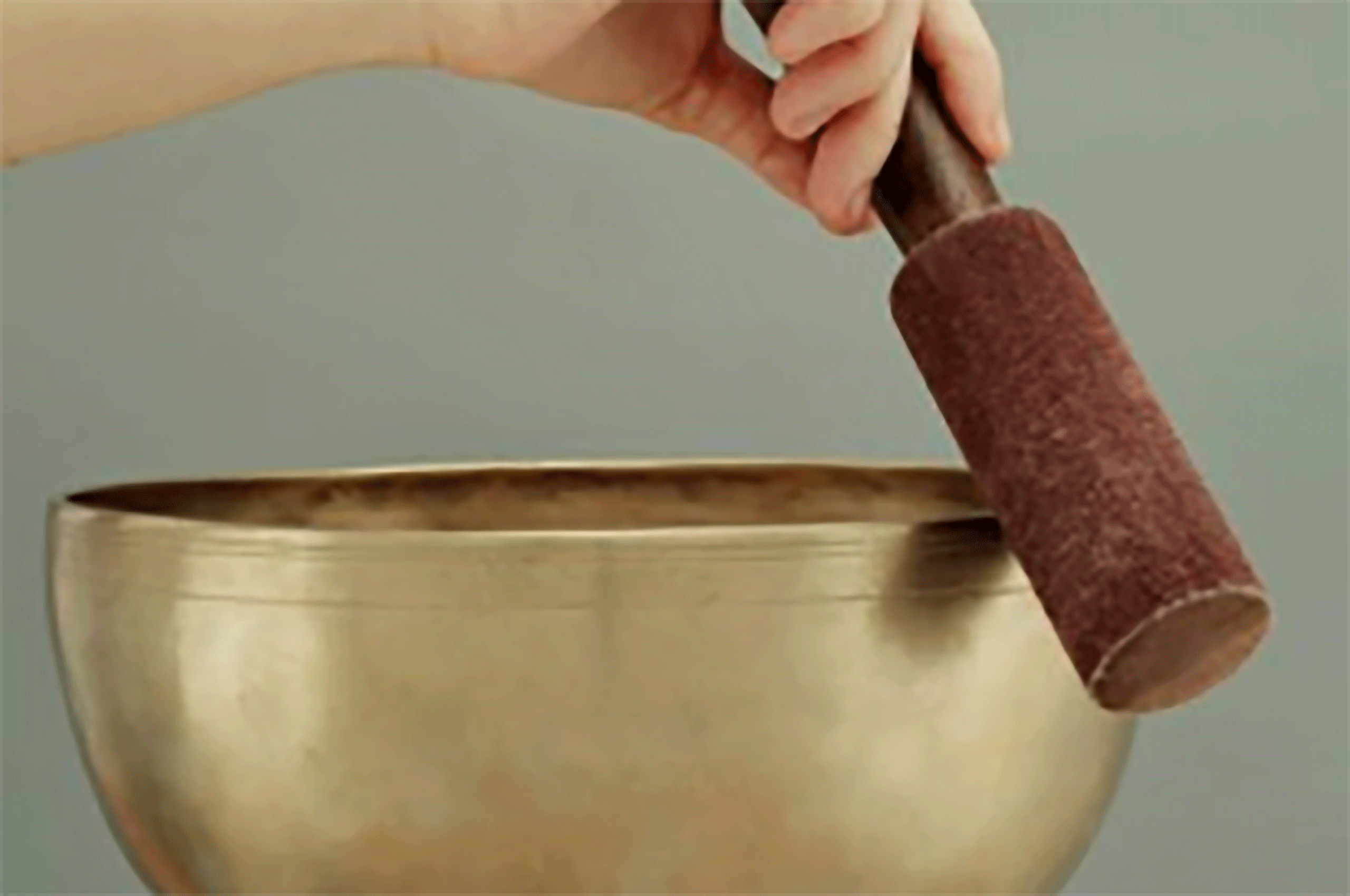 bols e1730495518886 274x300 1